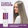thumbnail image 3 of Karseell Purple Shampoo Professional Neutralizes Brass & Yellow Tones For Blonde Silver Gray Highlighted Hair 16.90 oz 500ml, 3 of 11