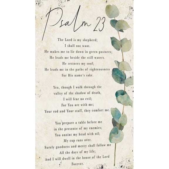 Psalm 23 Wall Art The Lord Is My Shepherd Bible Verse Wall Art Posters Decorative Paintings Pics Picture Decorations Modern Artwork for Office poster