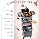 thumbnail image 2 of Stagiant Maleta con ruedas para maquillaje, carrito de almacenamiento grande para cosméticos, 4 en 1, carrito de gran capacidad, estuche de viaje para maquillaje con llave, ruedas giratorias, estuche, 2 of 5