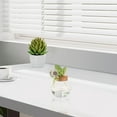 thumbnail image 4 of SHOWERORO 2Pcs Glass Terrarium With Lid Modern Design For Gifting Occasions, 4 of 6
