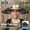 Camouflage color + two fans, variant on Solar Dual Fan Sun Hat, USB Charging, Adjustable Strap, Cool & Breathable, High Air Volume, Long Battery Life, for Outdoor Activities. Option: No Fan or 1 Fan