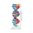 thumbnail image 2 of TEHAUX High Level Chemistry Molecular Model DNA Double Helix Kit for Home Education Multi ABS 3 Pcs, 2 of 7