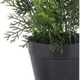 thumbnail image 4 of Nearly Natural Mini Arbre de Pin Cèdre Vert 2 Pieds, 4 of 9