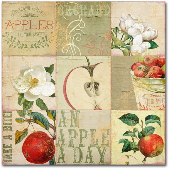 Trademark Fine Art "Apple Blossoms III" Canvas Art by Color Bakery