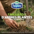 thumbnail image 5 of Royale Original, 2 Ply Facial Tissue, 6 Flat Boxes, 126 Tissues per Box, 756 tissues per pack, 5 of 5