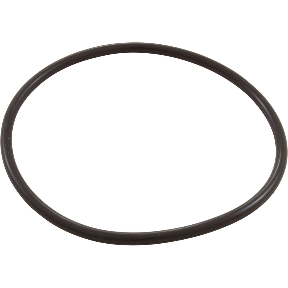 Zodiac Chlorine ORing W13068