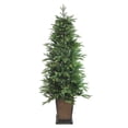 thumbnail image 2 of 6' Pre-Lit Potted Oregon Noble Fir Slim Artificial Christmas Tree - LED Lights Clear, 2 of 5