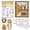 HG-YX2124, variant on Rxuiael Stamps and Cutting Dies Sets for 2025-2026 Stamps Dies Card Crafting for Card Making
