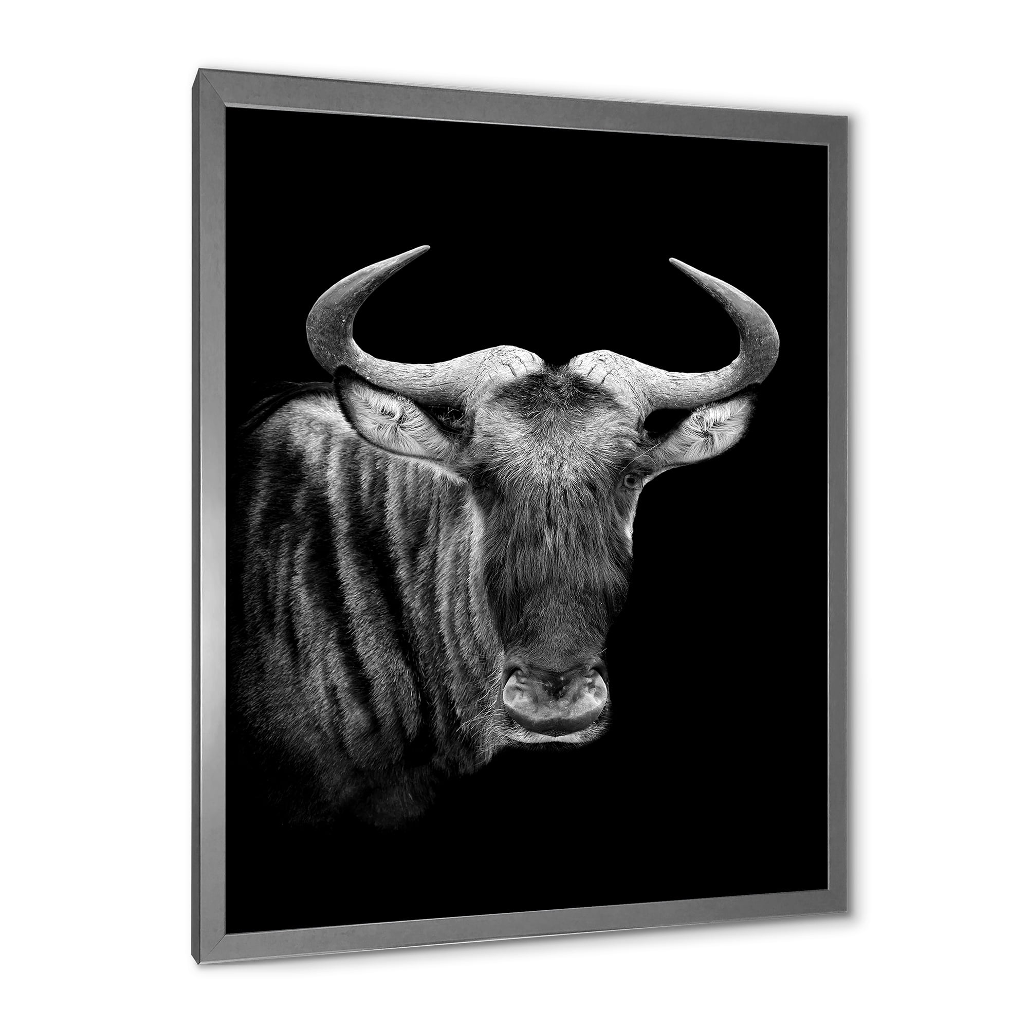 Designart 'Black and White Portrait Of Wildebeest' Farmhouse Framed Art Print