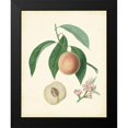 thumbnail image 2 of Unknown 12x14 Black Modern Framed Museum Art Print Titled - Plantation Peaches I, 2 of 5