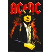 AC/DC Discography Poster - 24x36 - Walmart.com