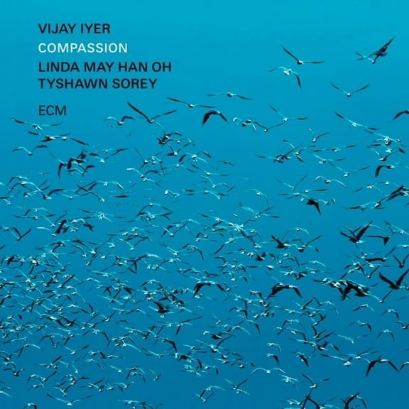 Vijay Iyer - Compassion - Music & Performance - Vinyl
