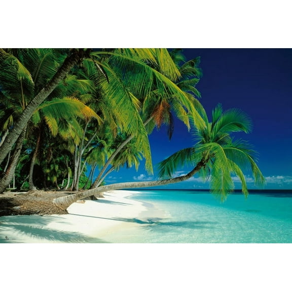 Tropical Paradise Poster (36 x 24)