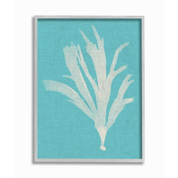 Stupell Industries Coral Seaweed Cyan White Beach Design Framed Wall Art by Vision Studio
