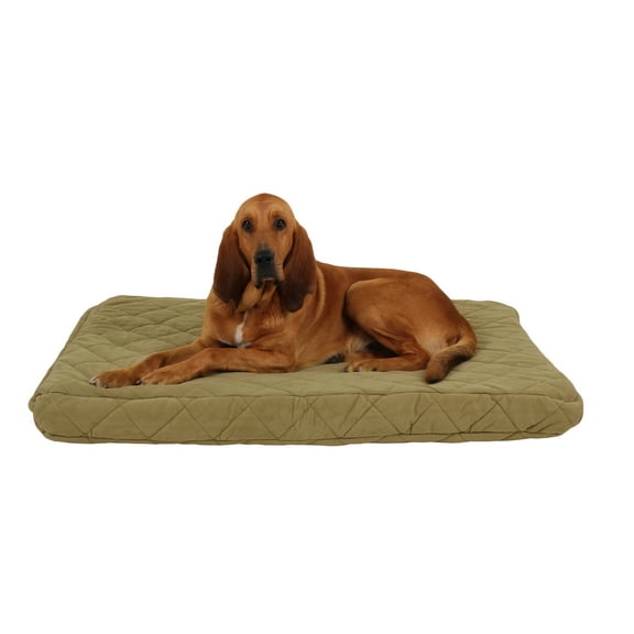 Carolina Pet Quilted Orthopedic Jamison Pet Bed - Sage, Large (012410)