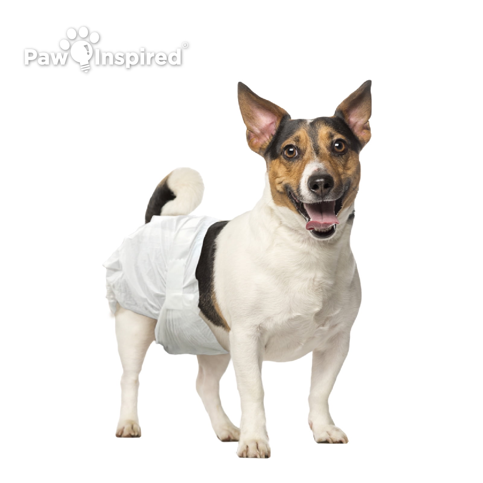 Paw inspired ultra protection cheap female disposable dog diapers