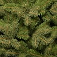 thumbnail image 3 of National Tree Company Downswept Douglas 7 Foot Unlit Christmas Tree with Stand, 3 of 5