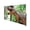 Dinosaur, variant on 138 in. x 71 in. Retractable Side Awning Semi-Transparent Waterproof Patio Screen Room Divider Gray for Privacy