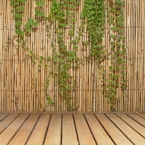 6 ft. H x 16 ft. L Natural Jumbo Reed Bamboo Fencing
