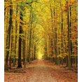 thumbnail image 2 of Juego de Funda Nórdica, Sendero en Bosque Otoñal con Hojas de Temporada Desteñidas Dramático, 2 of 6