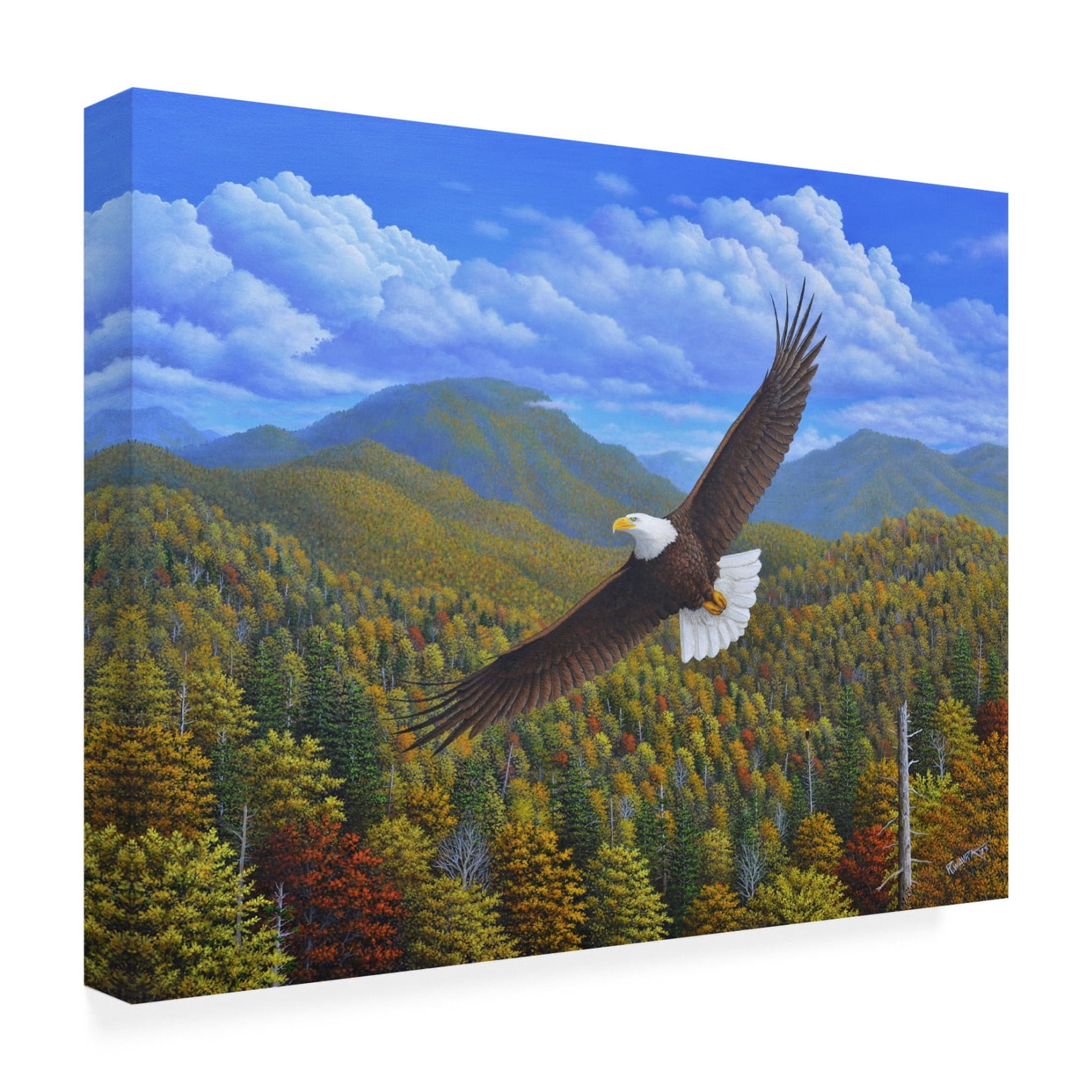 Canvas Wall Art - Robert Wavra 'Catching an Updraft' Wall Art for Living Room, Bedroom, or Office Décor by Trademark Fine Art - 32 x 24 Inches