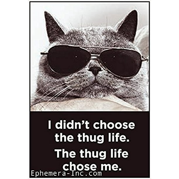 I Didn T Choose The Thug Life The Thug Life Chose Me Rectangle Magnet Walmart Com