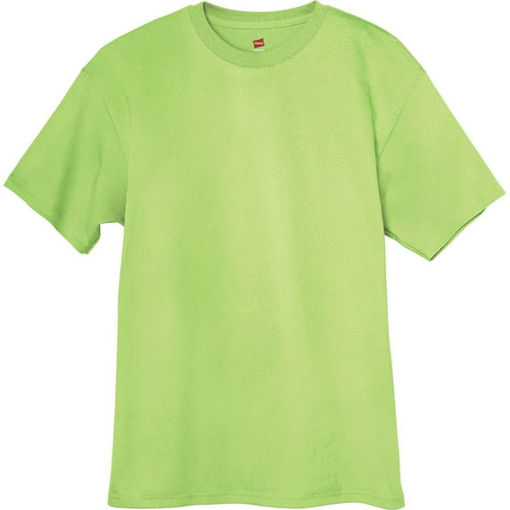 Hanes Beefy-T Men`s Short-Sleeve T-Shirt - Best-Seller! (Pack of 4) (2 Ash / 2 Lime)