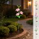 thumbnail image 1 of Luces solares de jardín al aire libre - Lámpara LED de fibra óptica de fibra óptica para colibríes • Luz decorativa para estacas para jardines • Césped y patio de pasillo, 1 of 6
