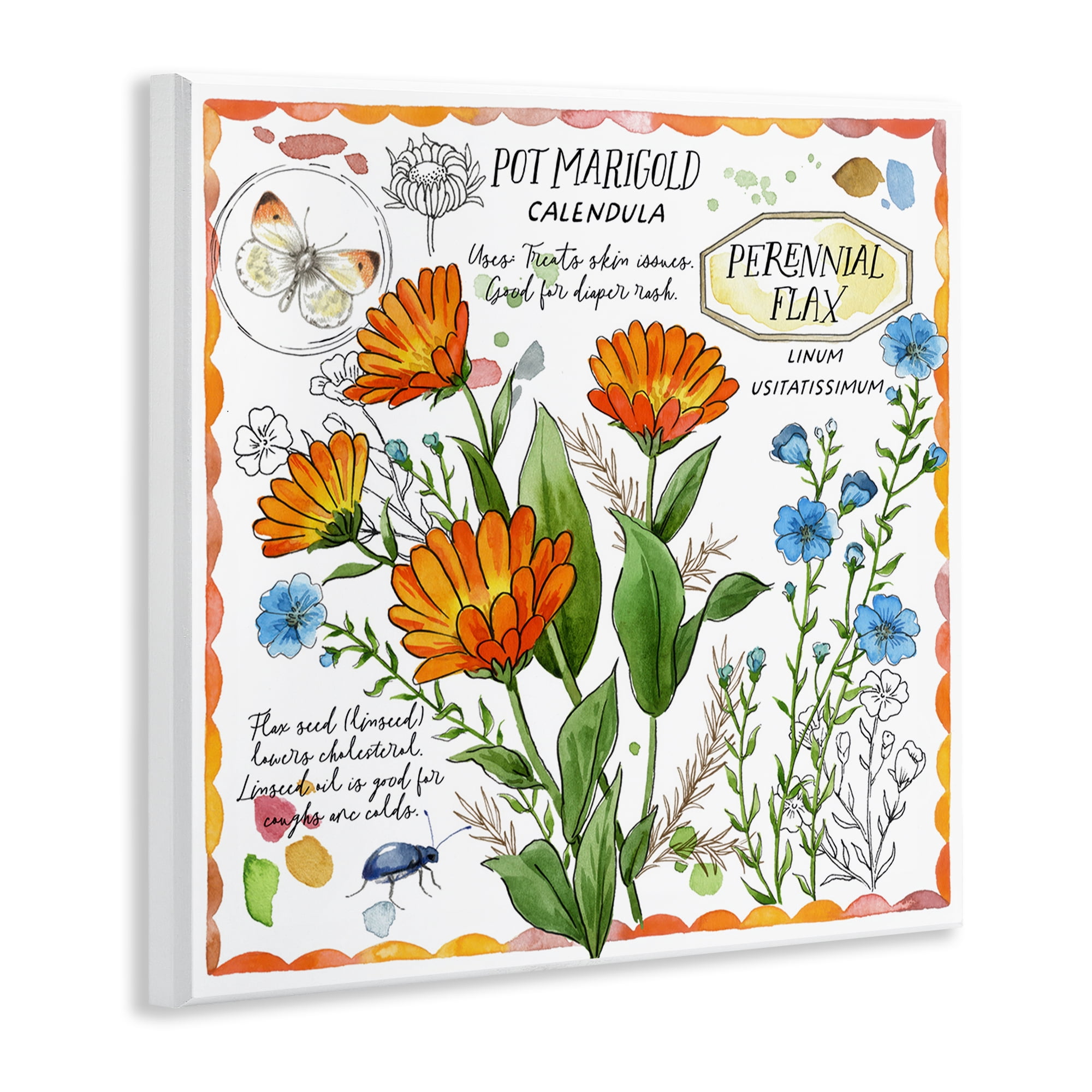 Stupell Industries Country Herb Uses Plants & Flowers Painting Unframed Art Print Wall Art, 12 x 12