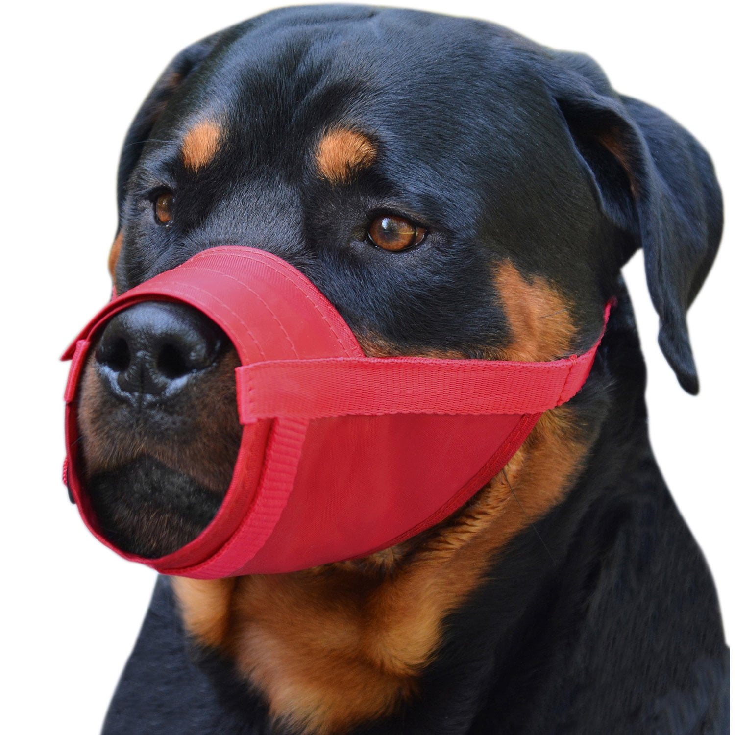 Large Adjustable Dog Grooming Muzzle Small X-Small or X-Large Medium