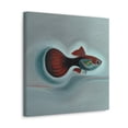 thumbnail image 5 of "Guppy in Minimalism" - Canvas, 5 of 25