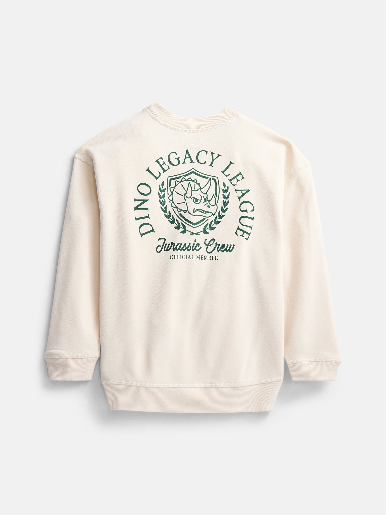 Wonder Nation Little Boys Crewneck Graphic Sweatshirt with Long Sleeves, Sizes 4-10