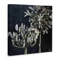 thumbnail image 3 of Stupell Industries French Country Blooming White Herbs Canvas Art, 36 x 36, by Patricia Pinto, 3 of 8