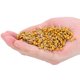 thumbnail image 5 of Capacitor Assorted Kit, Ceramic Stable 50V Capacitor, Economical Equipment Resonance Electronic Equipment Equipment Coupling For Electronic Instruments ANGGREK Otros, 5 of 8