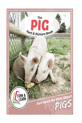 Facts About the Pig A Picture Book For Kids