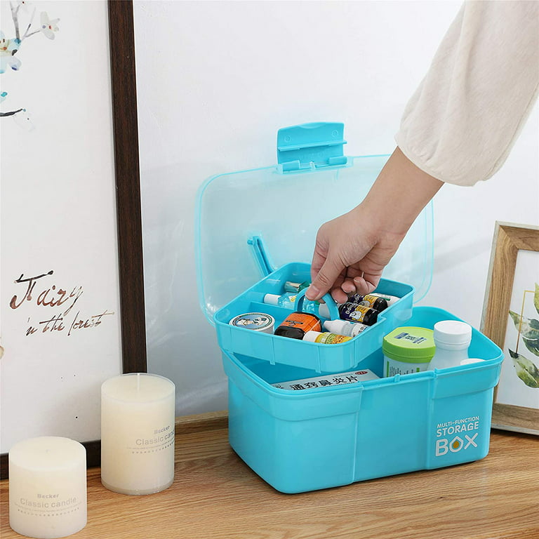 Plastic Storage Box Clear Plastic Storage Bins with Removable Tray Storage  Containers for Cosmetic Art 