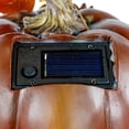 thumbnail image 7 of Northlight LED Lighted Solar Powered Floral Fall Harvest Pumpkin Outdoor Decoration - 8", 7 of 7