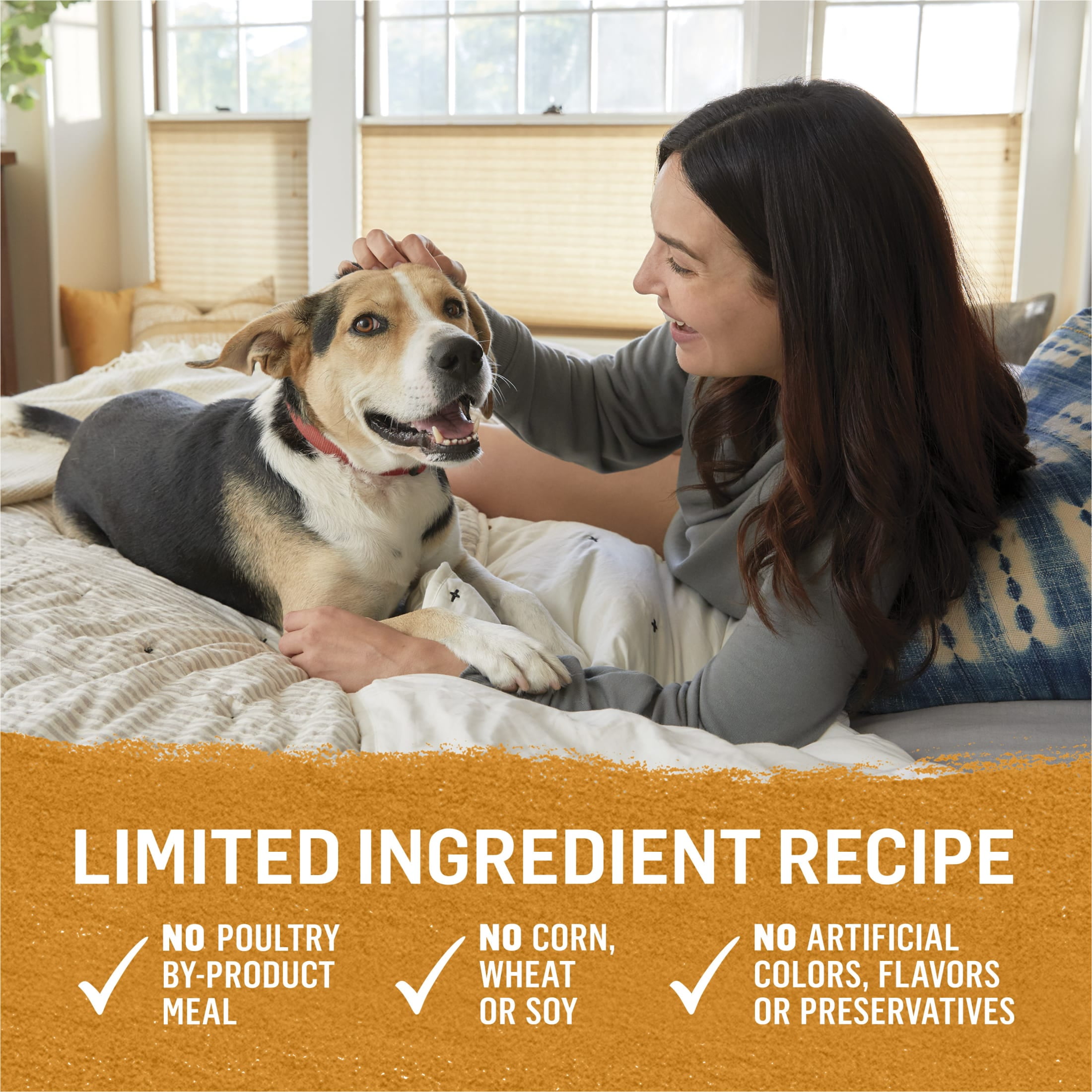 Purina Beyond Grain-Free Wet Dog Food in Gravy Soft Chicken & Sweet Potato, 12.5 oz Can