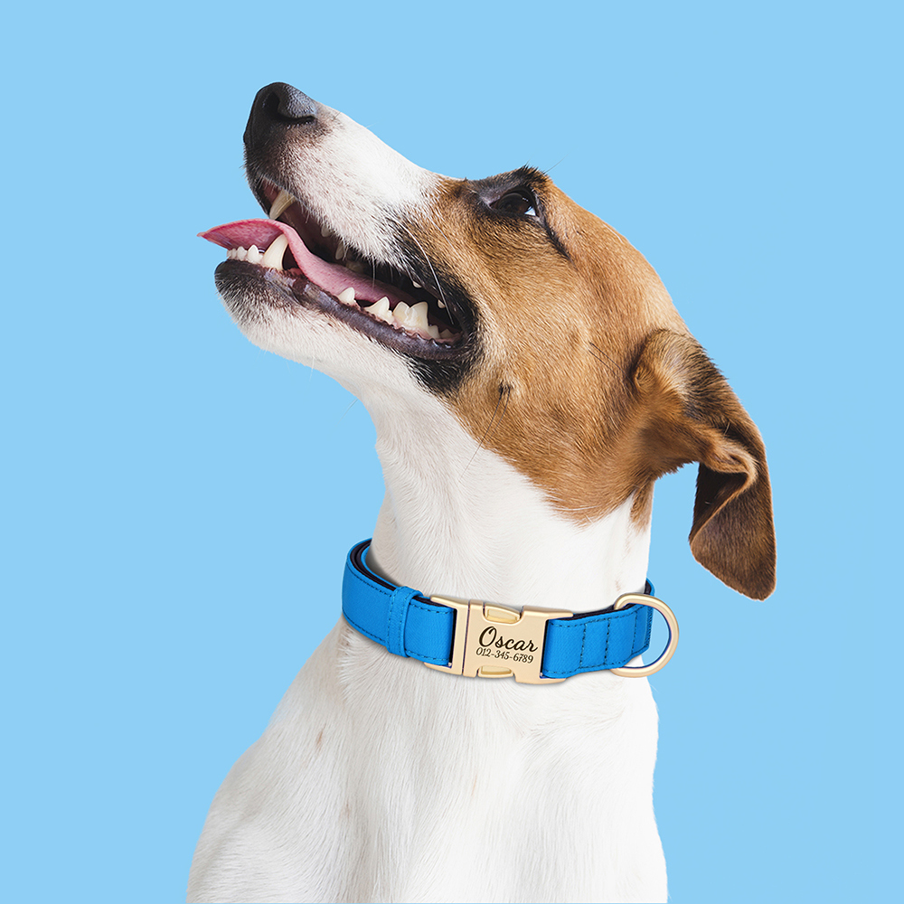 Pet Artist Personalized Waterproof Dog Collar photo 3