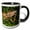 Black/White, variant on 3drose, Belize, Crooked Tree, Male Green Iguana., 11oz Two-tone Red Mug