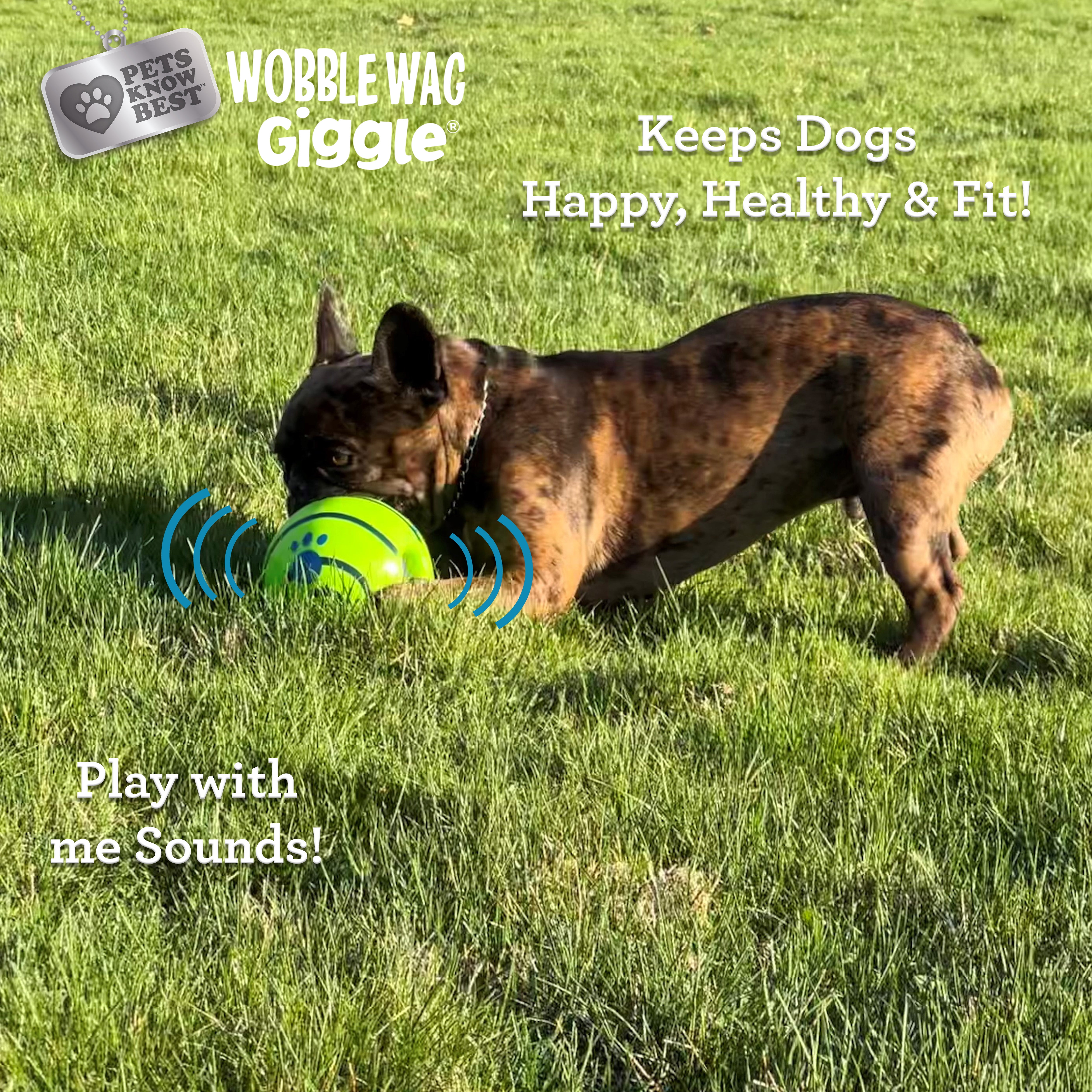Pets Know Best Wobble Wag Giggle Ball Dog Toy, Tear-Resistant, Green