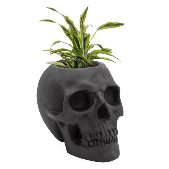 Esterno Black Skull Planter Pot, Horror Zombie Theme Decorative Mini Planter for Air Plants, Succulents, Cacti, and Carnivorous Plants