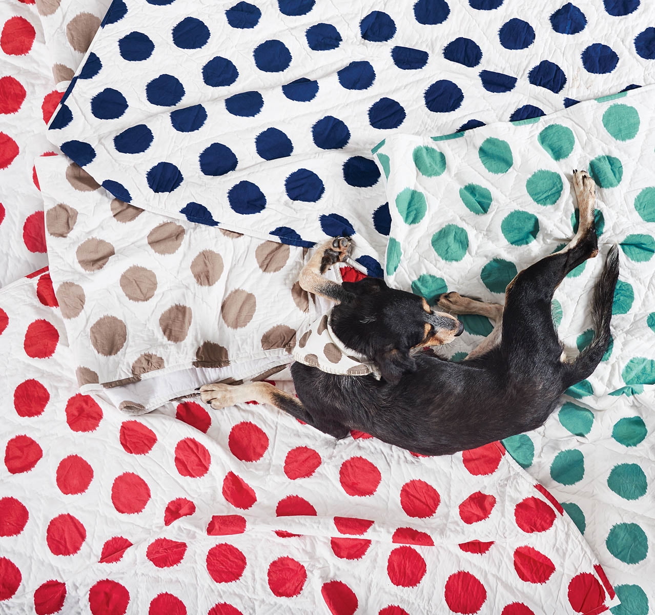 Pet Dog Or Cat Quilt Blanket Bed Dot Pattern Lagoon
