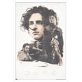 thumbnail image 1 of Dune : Partie 2 - Groupe, 1 of 4
