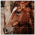thumbnail image 1 of Picture-Tiles.com: Horse Ceramic Tile Wall Mural WAL500771-55S. 21.25"W x 21.25"H using (25) 4.25" x 4.25" Ceramic Tiles-Satin Finish, 1 of 3