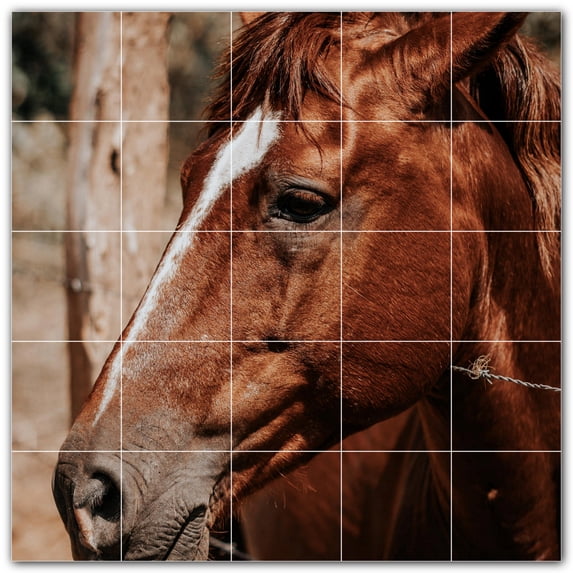 Picture-Tiles.com: Horse Ceramic Tile Wall Mural WAL500771-55S. 21.25"W x 21.25"H using (25) 4.25" x 4.25" Ceramic Tiles-Satin Finish