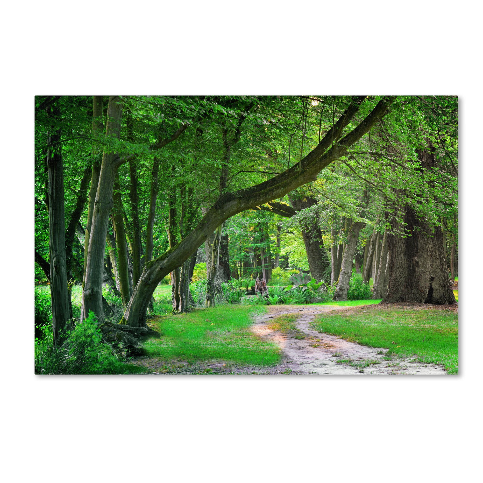 Trademark Fine Art "Intimate Landscape" Canvas Art by Philippe Sainte-Laudy