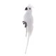 thumbnail image 1 of Figura de pájaro artificial de loro, realista, para decoración de jardín H, 1 of 9