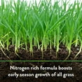 thumbnail image 6 of Down To Earth Organic Bio-Turf Fertilizer Mix 8-3-5, 25 lb., 6 of 8