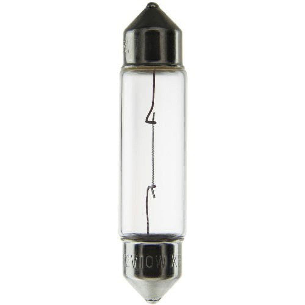 Xelogen clearance 12v 50w